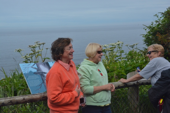 at cape meares